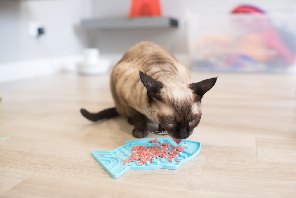 Petstages Fishie Fun Feed Mat Cat Slow Feeder, Pink, One-Size