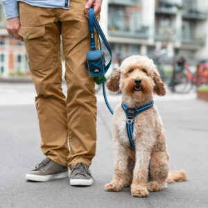 DOG Copenhagen Pouch Organizer™ Leash Bag - Image 3