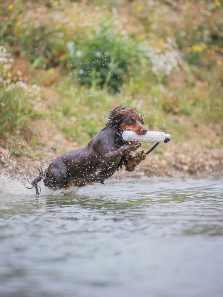 Sporting Saint Water Dummy - Image 4