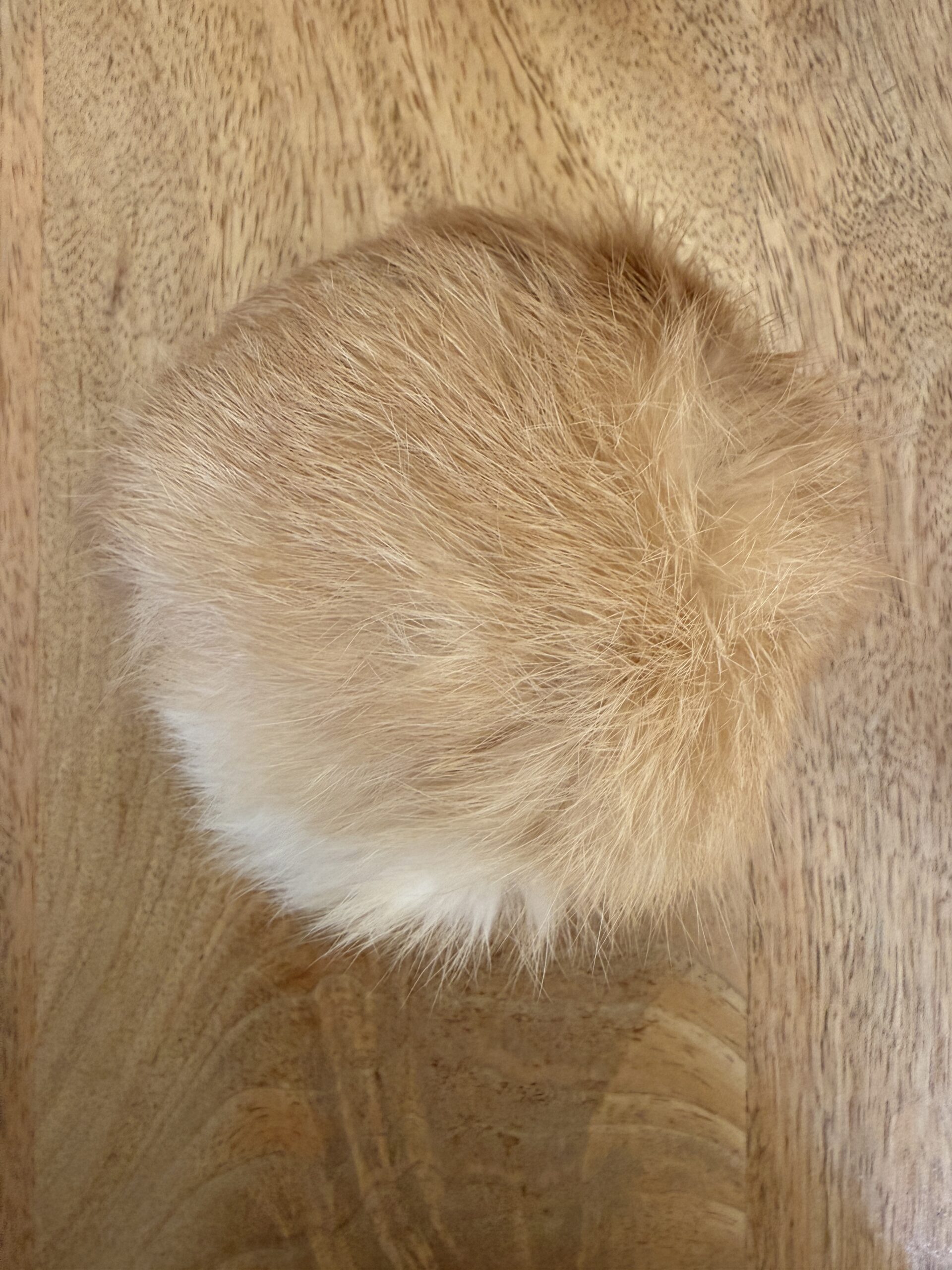 Rabbit Fur Ball - Image 4